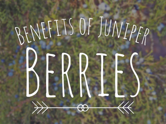 Are Juniper Berries Good for You? The Claims and the Research