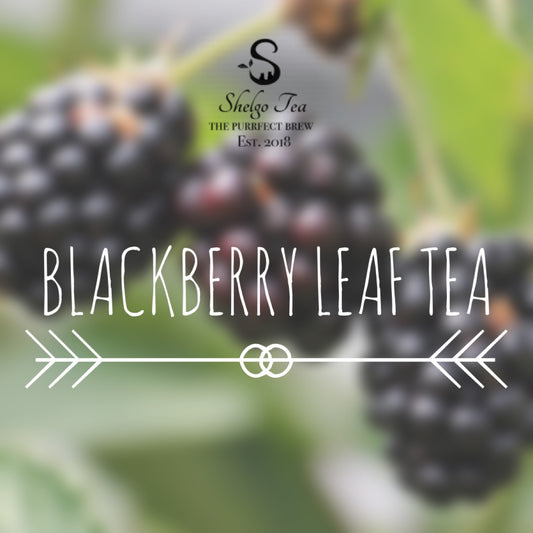 3 Big Health Benefits of Blackberry Leaf Tea (Including Side Effects)