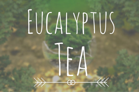 A Guide to Eucalyptus Tea and Its Benefits