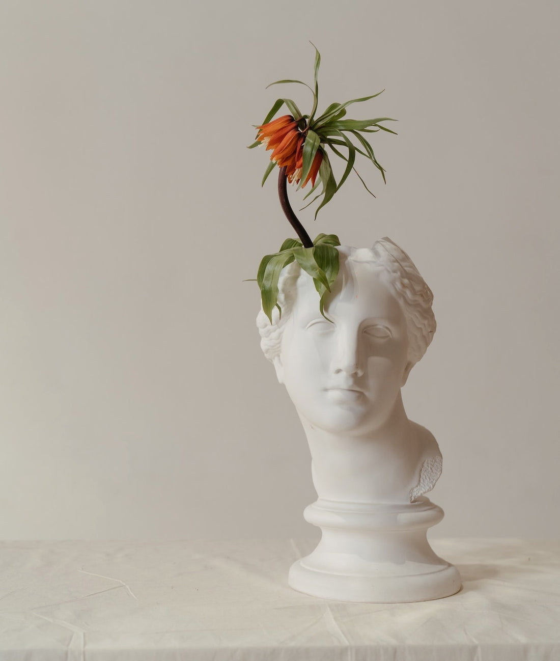 Herbal Remedies and Treatments Used by the Ancient Romans