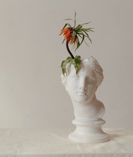 Herbal Remedies and Treatments Used by the Ancient Romans