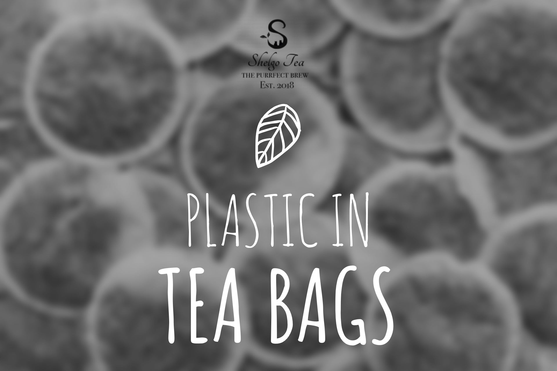 The Truth About The Plastic In Your Tea Bags – Shelgo Tea