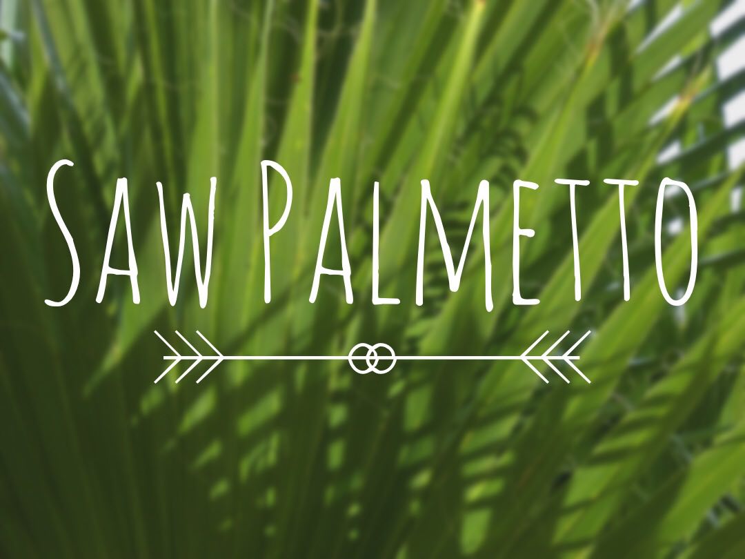 The Health Benefits of Saw Palmetto