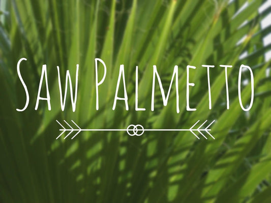 The Health Benefits of Saw Palmetto