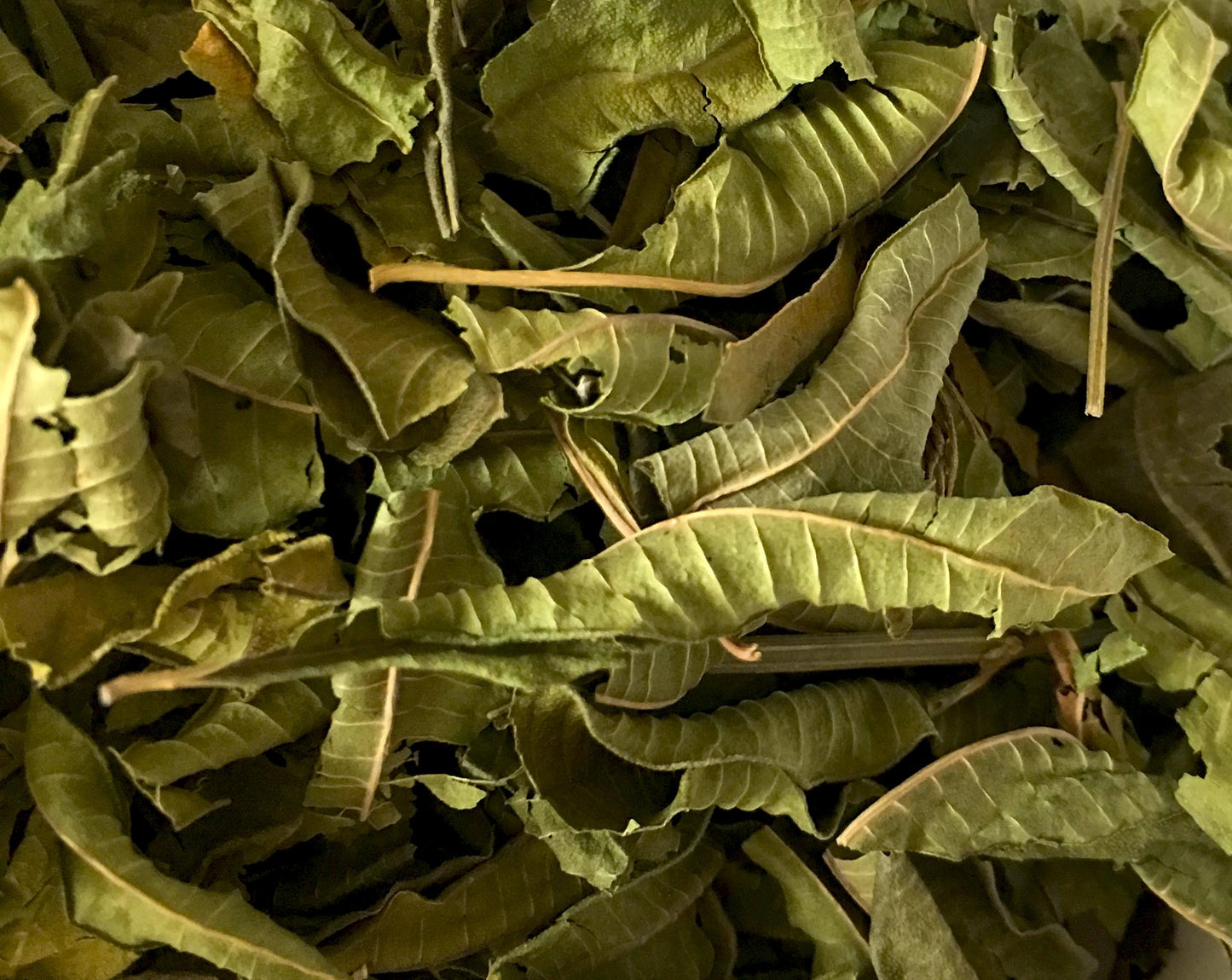 Lemon Verbena Tea (AKA Vervain)