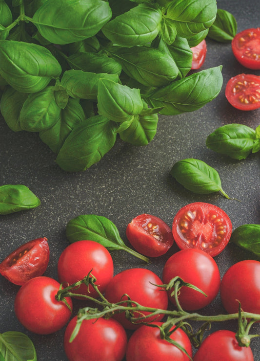The Culinary Herb Basil and its Health Benefits