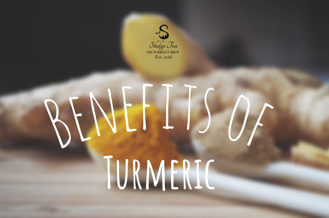 The Real Benefits of Turmeric and Curcumin