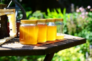 Benefits of Royal Jelly: The Gooey Truth