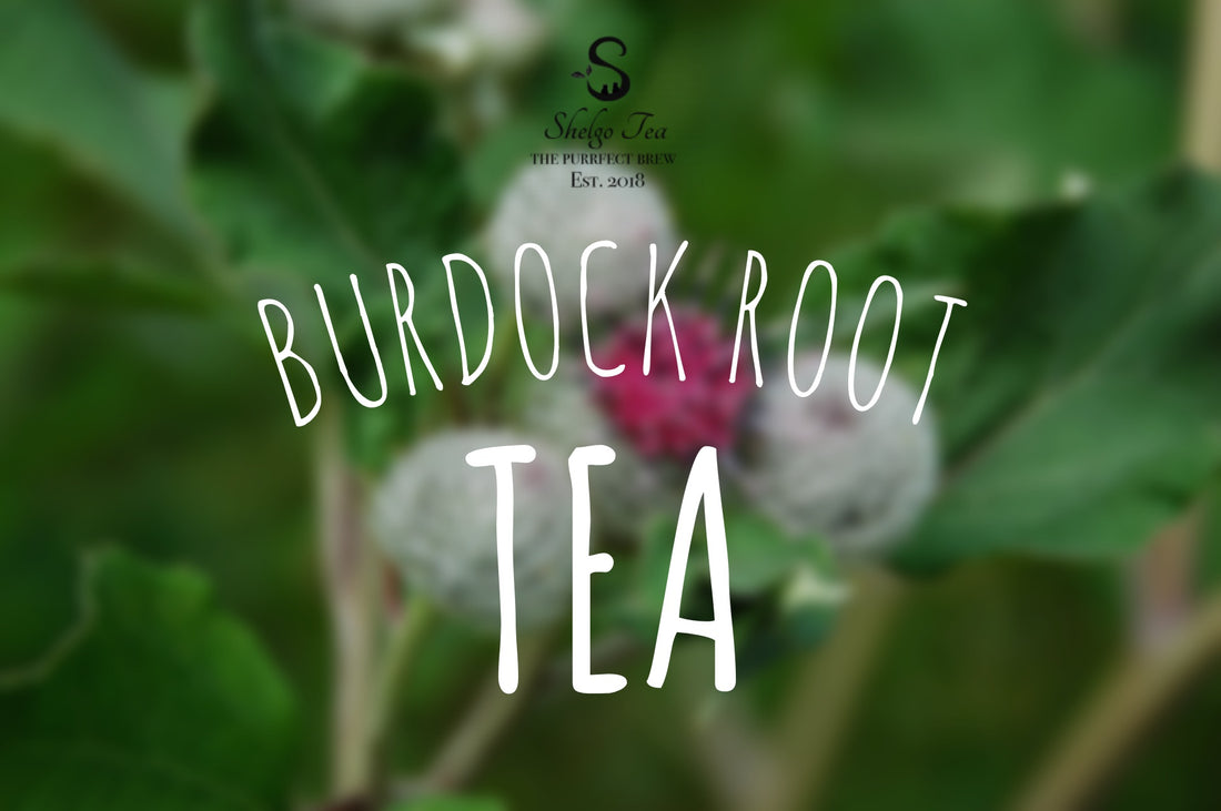 Burdock Root Tea: The Health Benefits and More