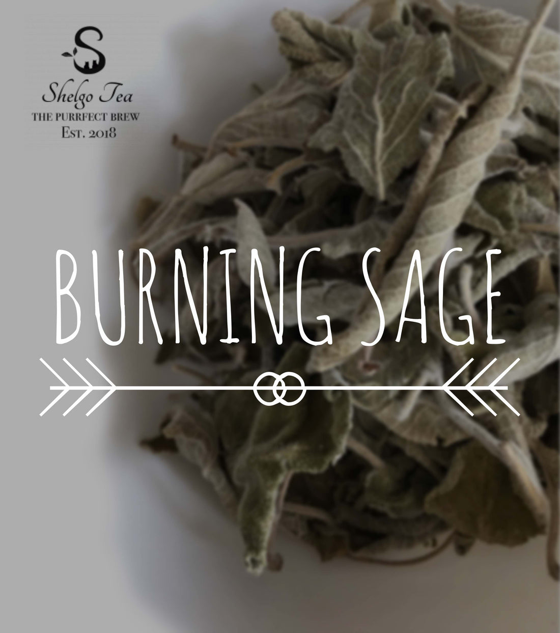 Burning Sage Benefits: Can it Cleanse your Home?