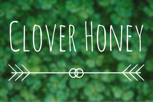 Clover Honey: Benefits, Varieties and Differences