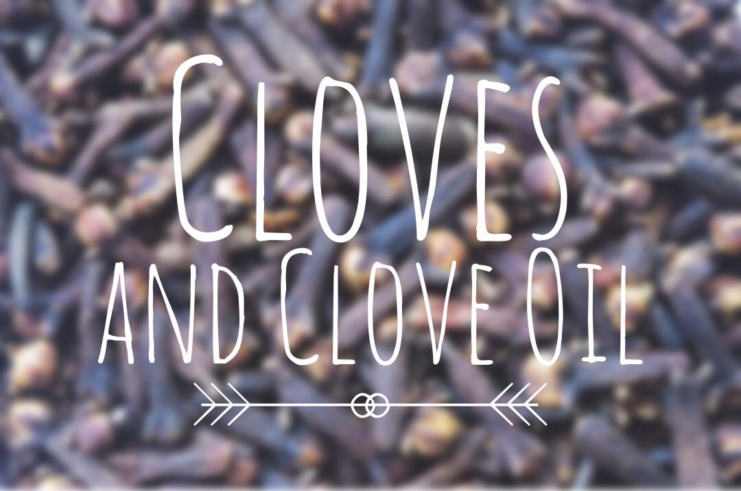 5 Uses and Health Benefits of Cloves and Clove Oil