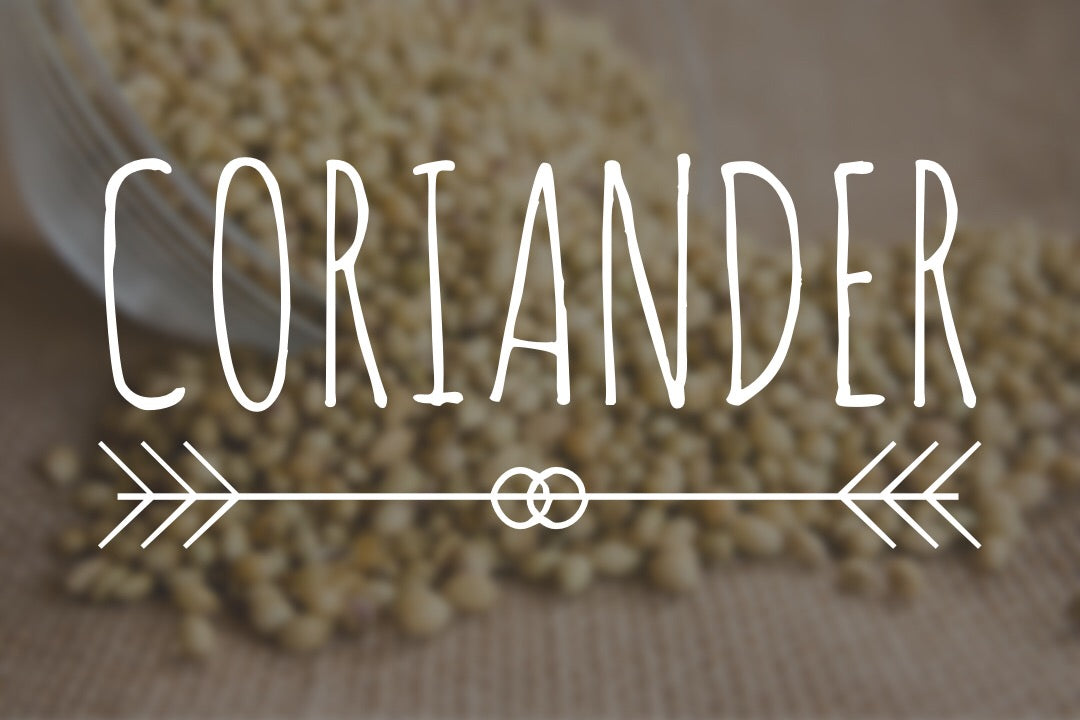 5 Surprising Health Benefits and Facts about Coriander