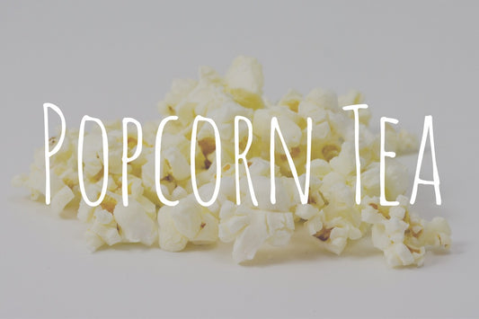 Popcorn Tea, A.K.A. Genmaicha: Benefits and History