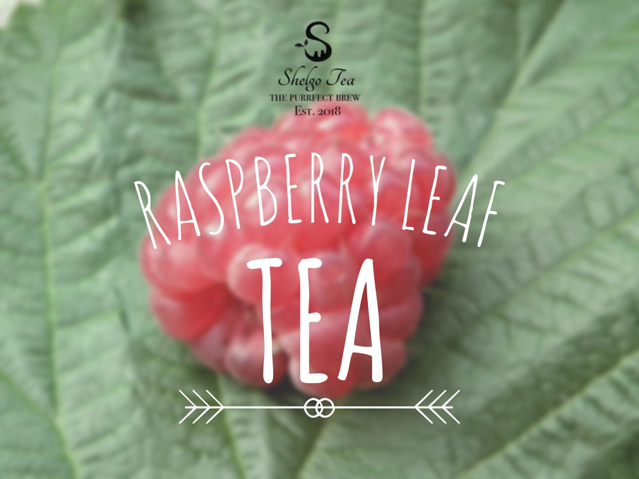 The Truth About Raspberry Leaf Tea: Benefits, Nutrition, and Pregnancy ...