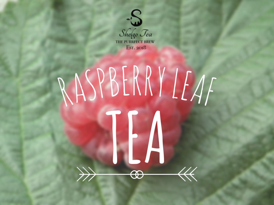 The Truth About Raspberry Leaf Tea: Benefits, Nutrition, and Pregnancy Claims