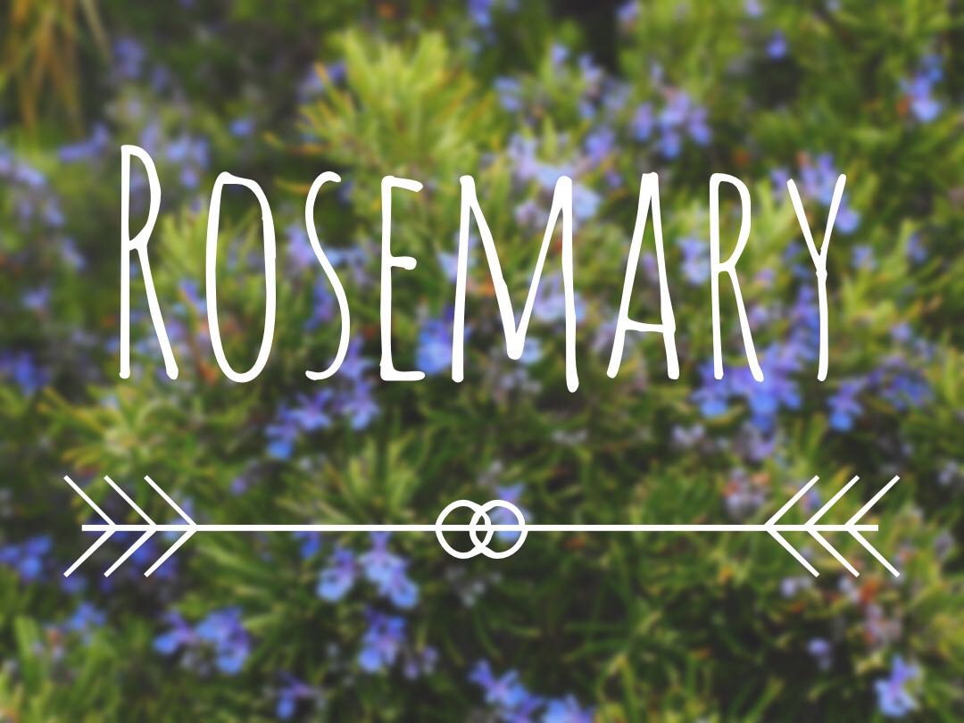 5 Best Benefits of Rosemary