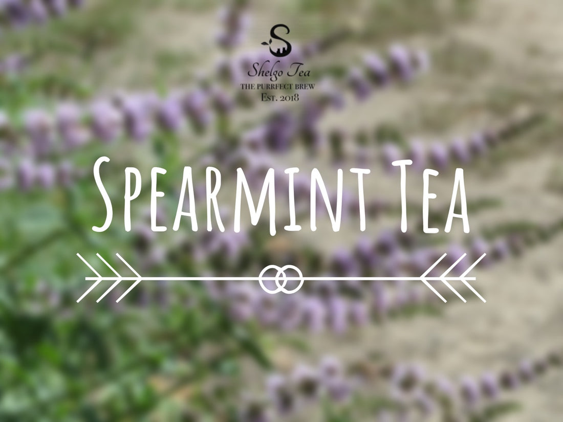The Benefits and Side Effects of Spearmint Tea