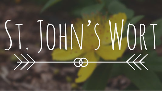 The Truth about St John’s Wort: Benefits, Risks, Side Effects