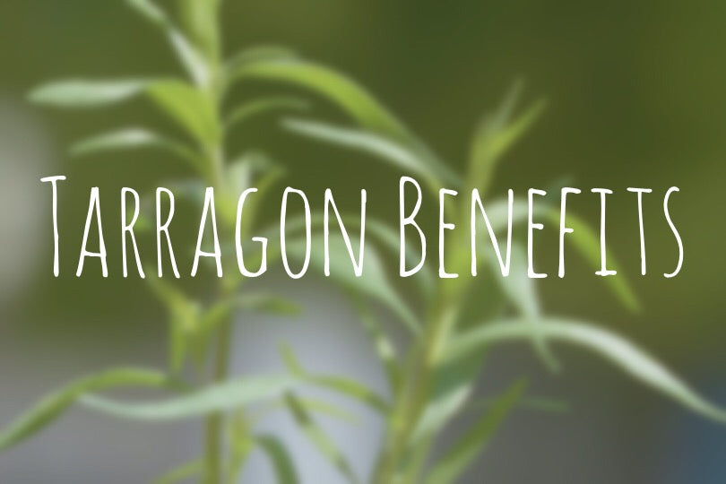 A Guide to Tarragon: Nutrients and Health Benefits