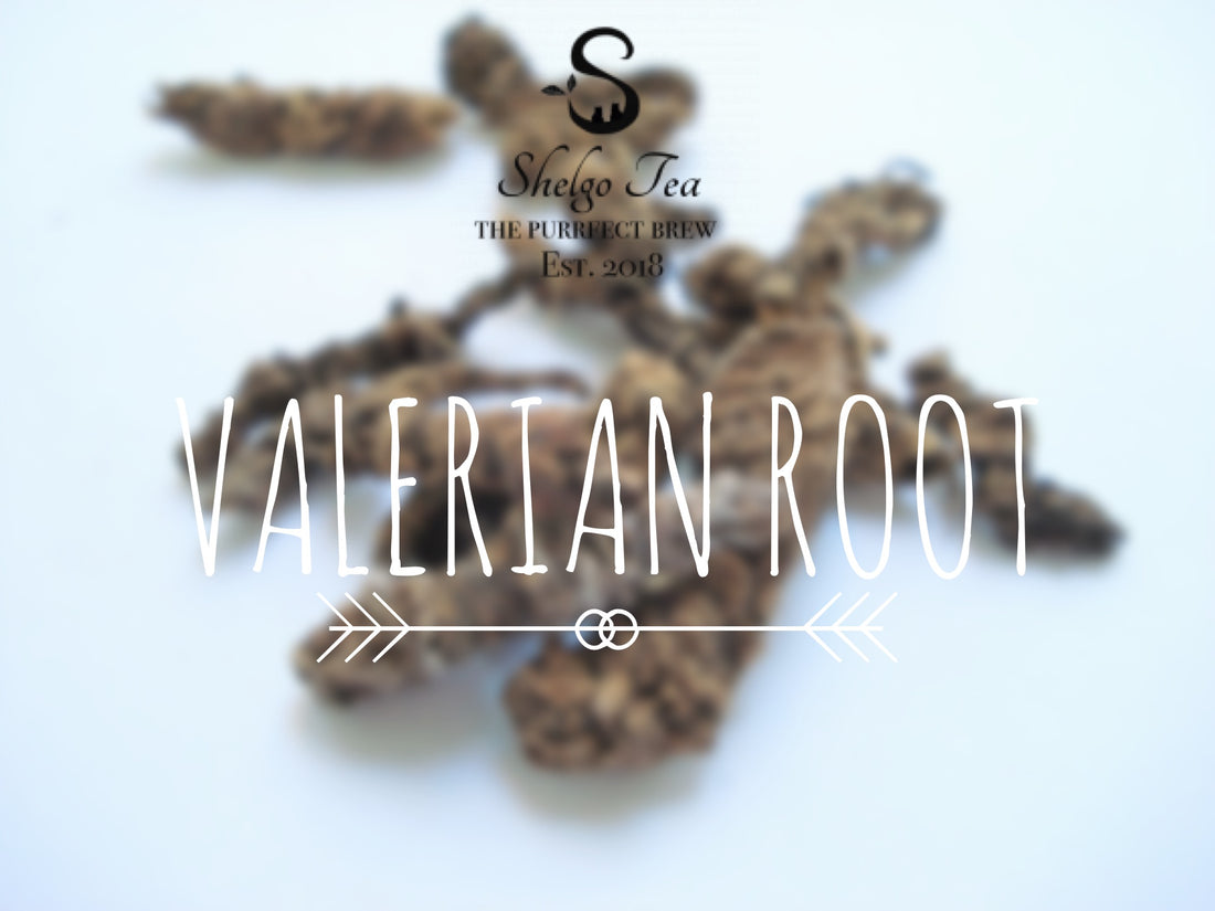The Truth about Valerian Root Tea and Extract Benefits