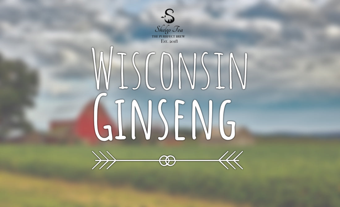 What is Wisconsin Ginseng? A Complete Guide